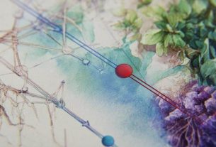 Дистилляция знаний в нейронных сетях