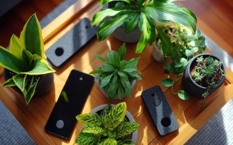 Гаджеты для ухода за домашними растениями: что реально работает